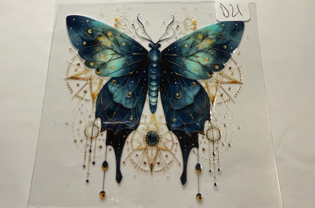 D21 butterfly