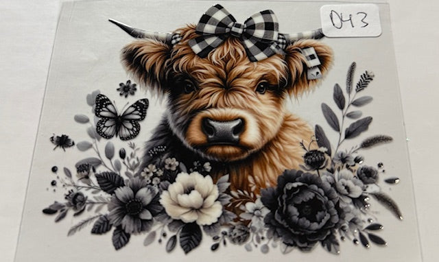 D43 Cow