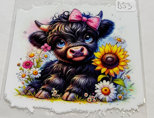 D53 Cow