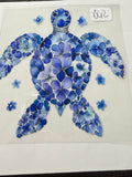 D62 sea turtle
