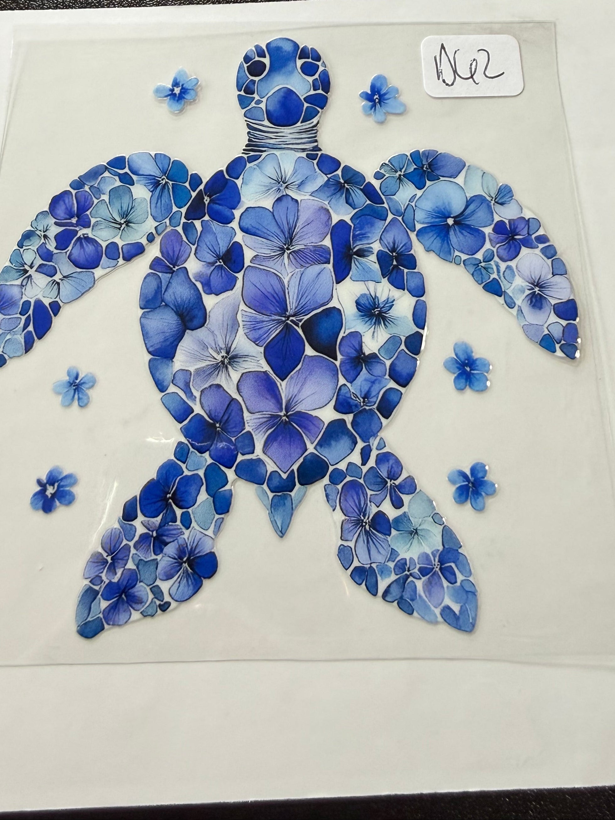D62 sea turtle