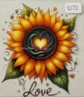 D72 sunflower