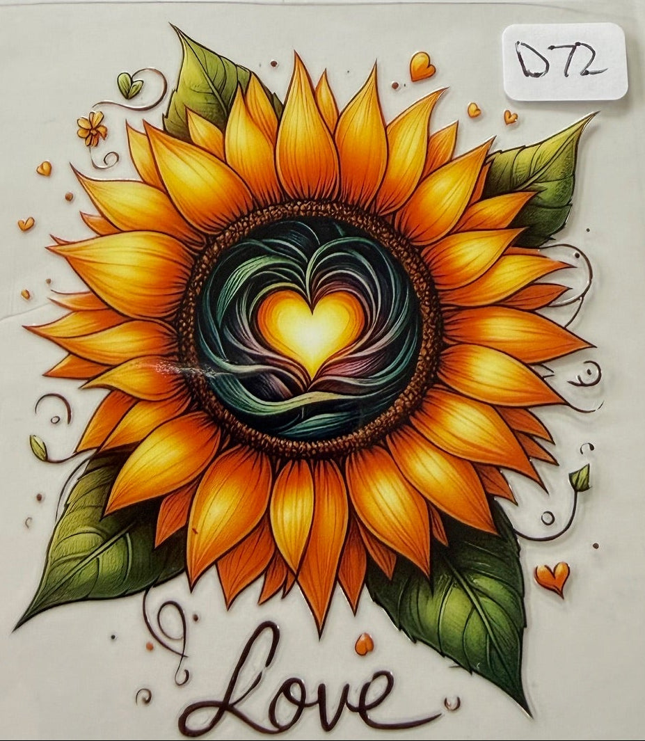 D72 sunflower
