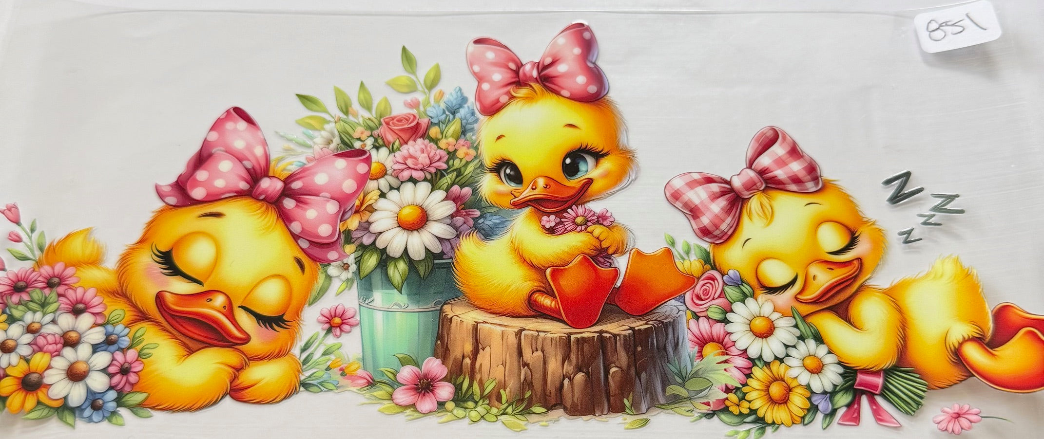851 Ducks