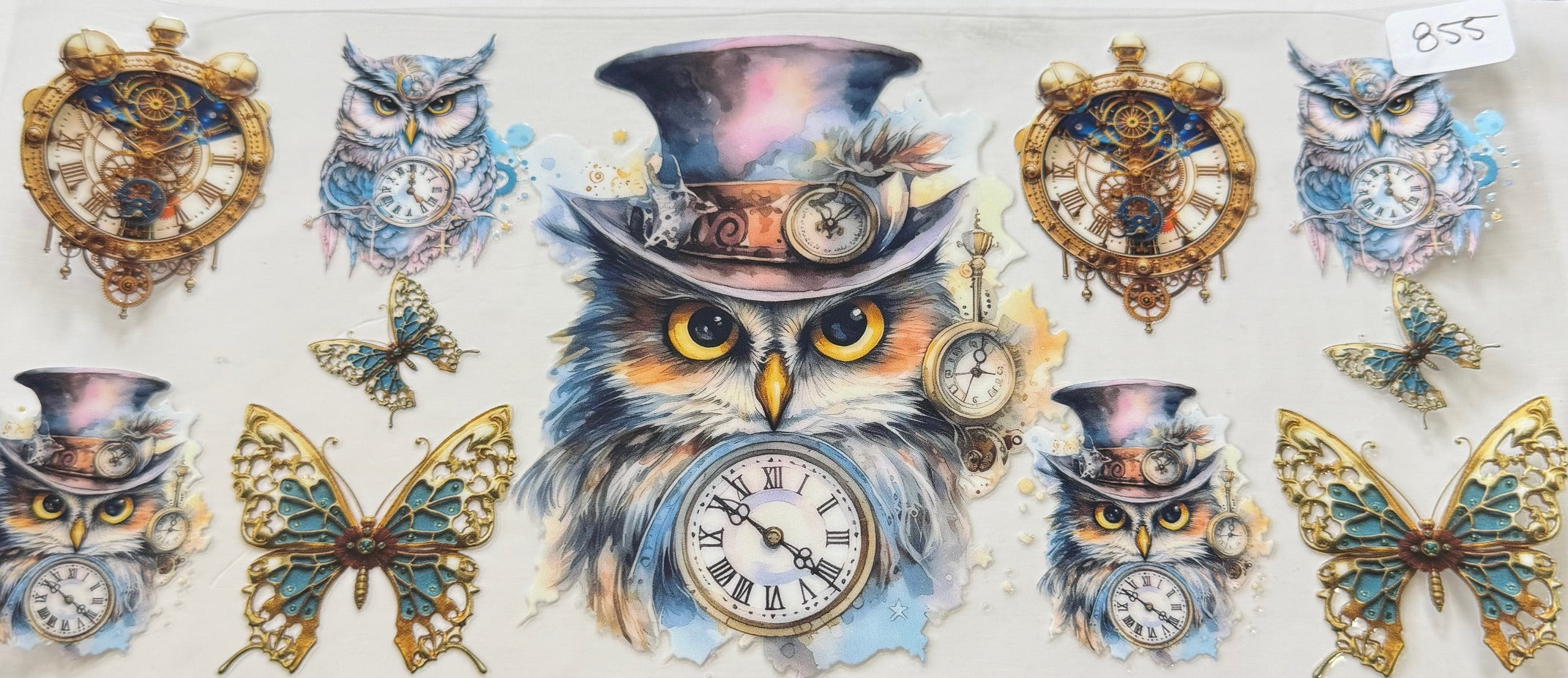 855 owl