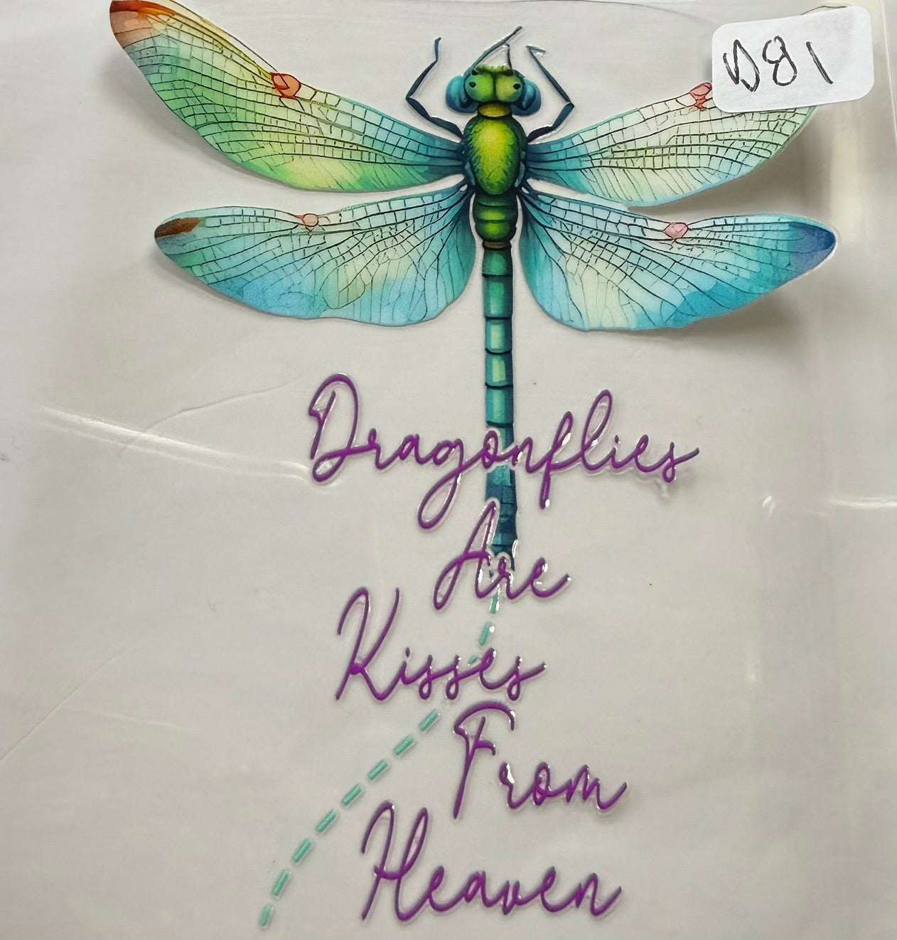 D81 dragonfly