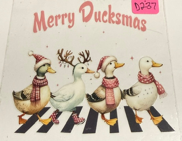 D237 ducks
