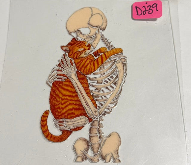 d239 skeleton