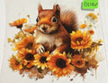 d246 squirrel