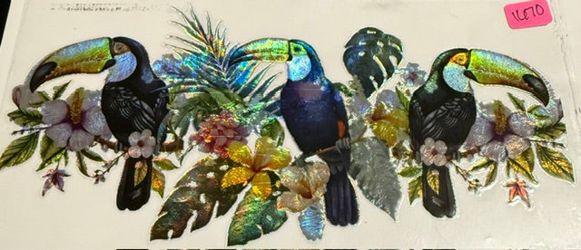 1670 tucan