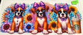 1700 star bees pup