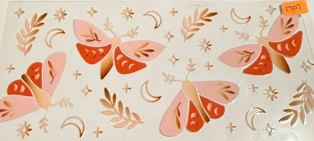 1707 moth