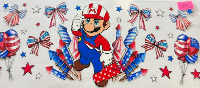 1893 mario