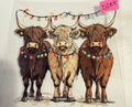 d285 cows