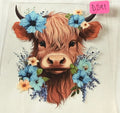 d291 cow