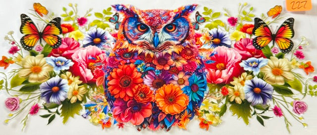 227 owl
