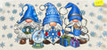 2005 gnomes