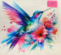 d339 humming bird