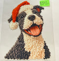 d342 dog