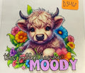 d346  cow
