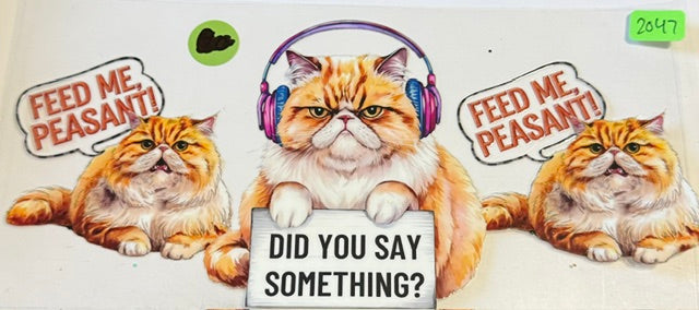 2047 cat