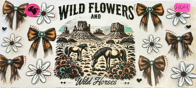 2064 wild flower