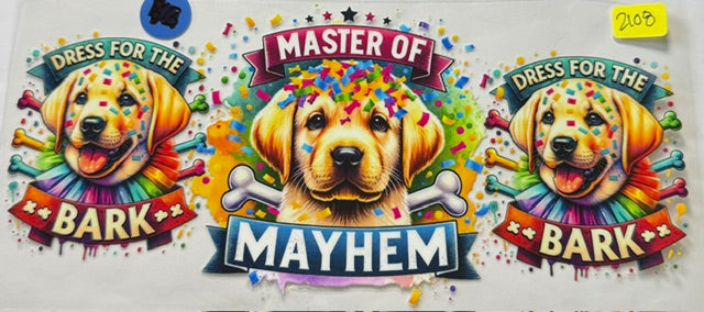 2108 dog