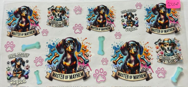 2116 dog