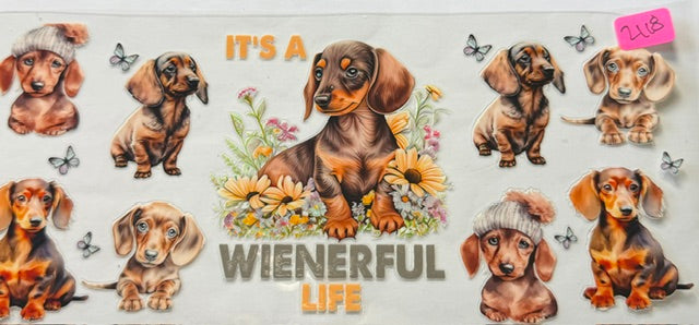2118 dog