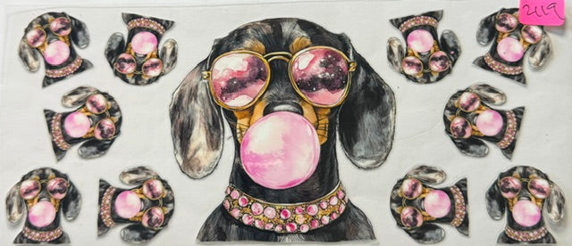 2119 dog