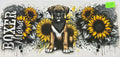 2120 boxer