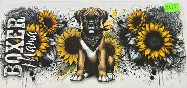 2120 boxer
