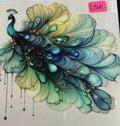 d361 peacock
