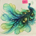 d362 peacock