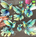 E6 hummingbirds