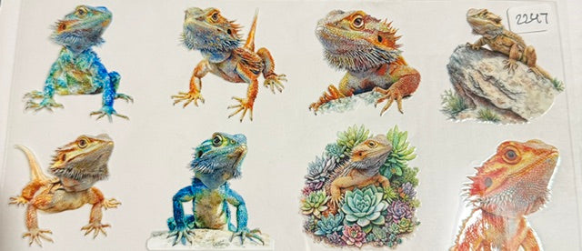2247 lizard