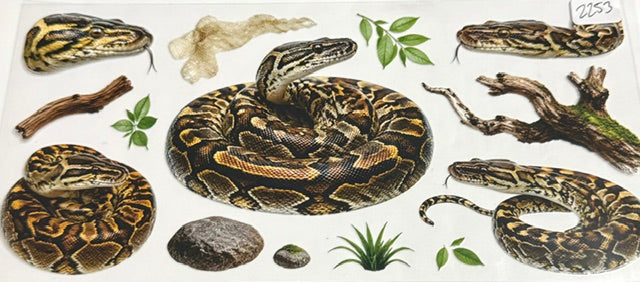 2253 snake