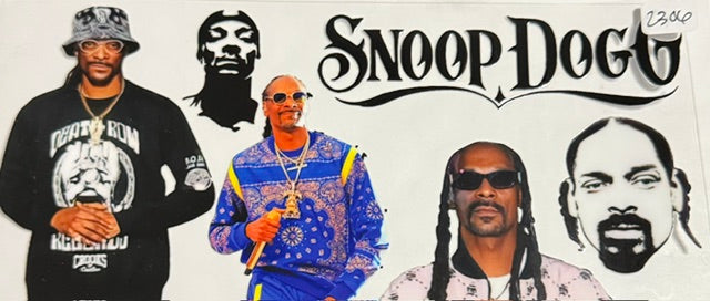 2306 snoop