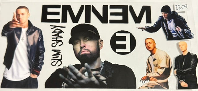 2309 eminem