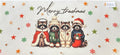 2383 racoon