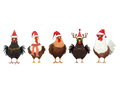 5 Chickens