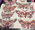 E5 Moth