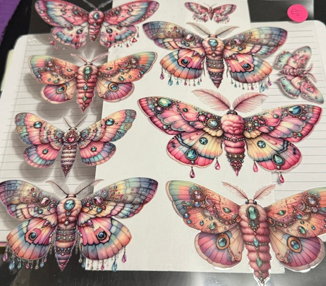 E5 Moth