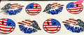 1525 flag