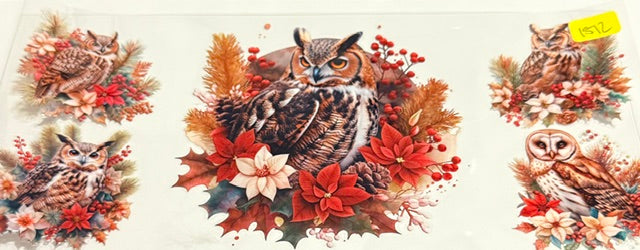 1512 owl