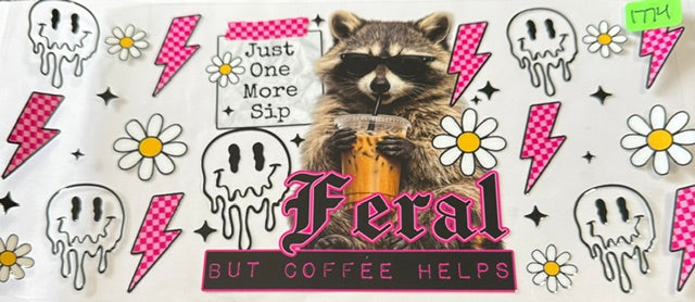1774 racoon