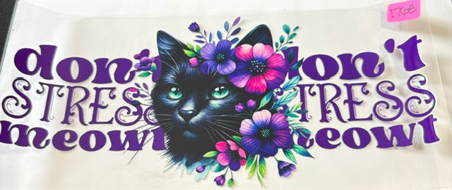 1768 cat