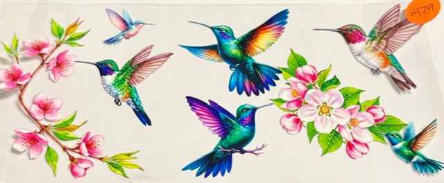 1479 humming bird