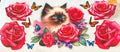 1807 cat