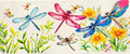 1476 dragonfly